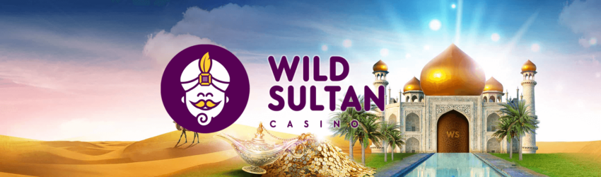 banniere casino wild suultan